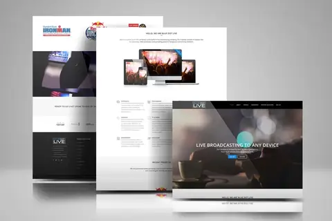 Blue Dot Live: Identity & print